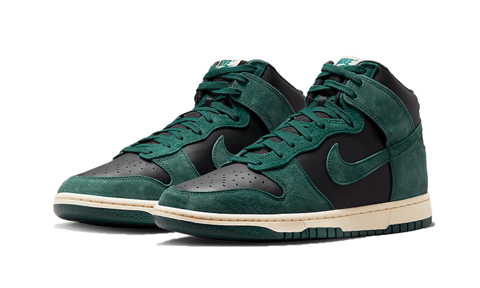 Nike Dunk High Retro PRM Faded Spruce, Faded Spruce/Black (DQ7679-002)