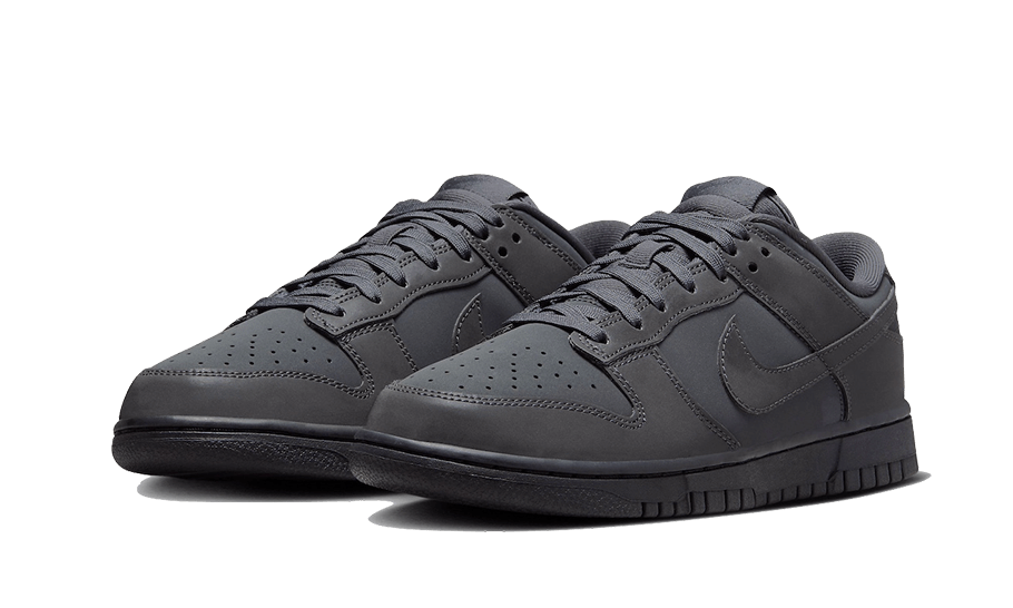 Nike Dunk Low Cyber Reflective, Anthracite/Racer Blue-Black (FZ3781-060)