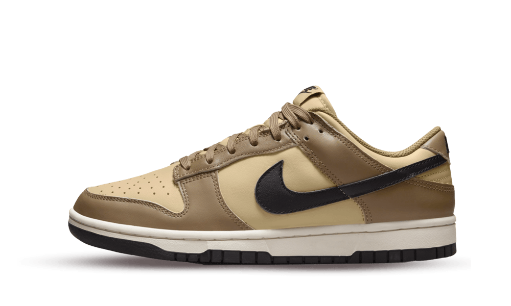 Nike Dunk Low Dark Driftwood, Dark Driftwood/Black-Sesame-Sail (DD1503-200)