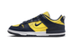 Nike Dunk Low Disrupt 2 Michigan