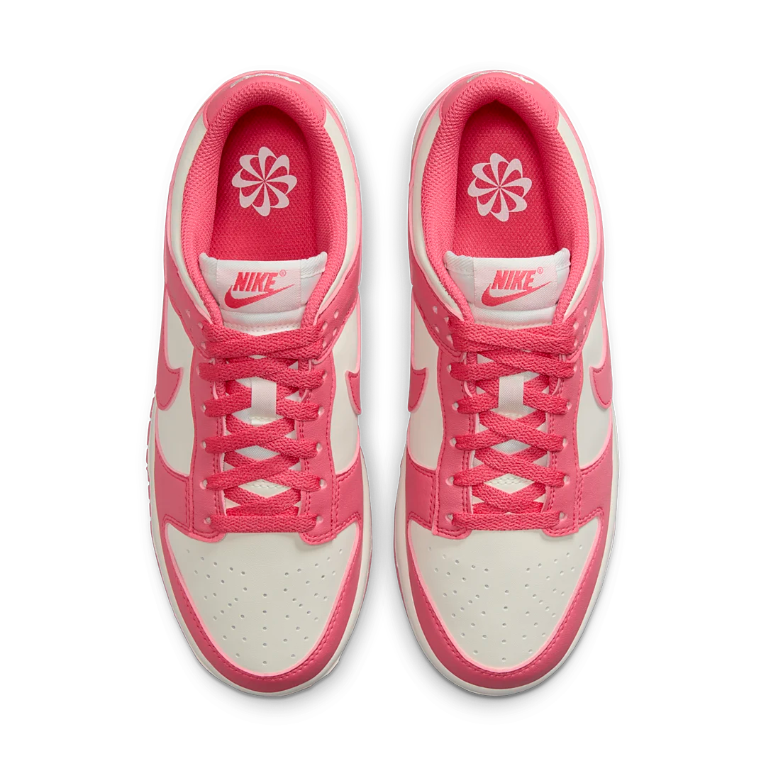 Nike Dunk Low Next Nature Aster Pink, Aster Pink/Sail (DD1873-600)