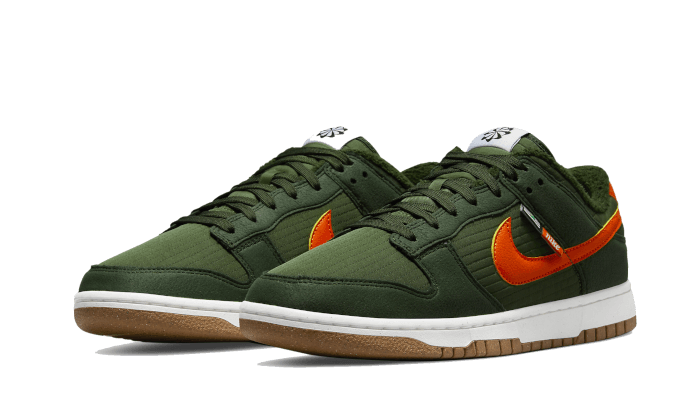 Nike Dunk Low Retro Next Nature Sequoia, Sequoia/Orange-Medium Olive-Sail (DD3358-300)