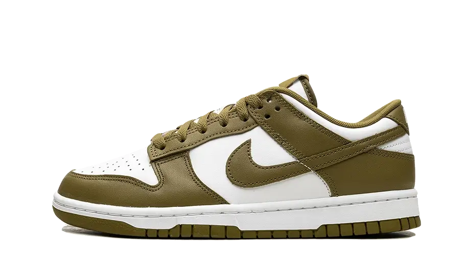 Nike Dunk Low Retro Pacific Moss, White/Pacific Moss (DV0833-105)