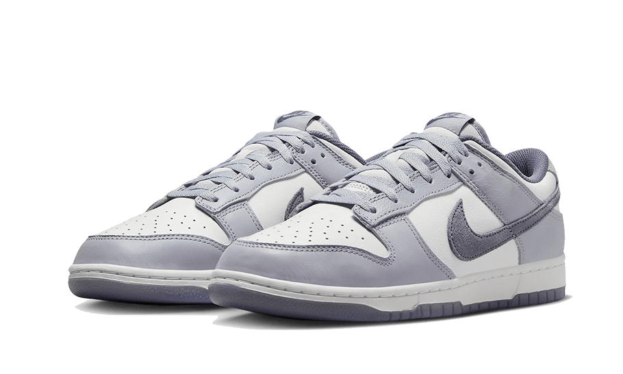 Nike Dunk Low SE Light Carbon, White/Light Carbon/Platinum Tint (FJ4188-100)