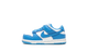 Nike Dunk Low UNC (2021) (TD)