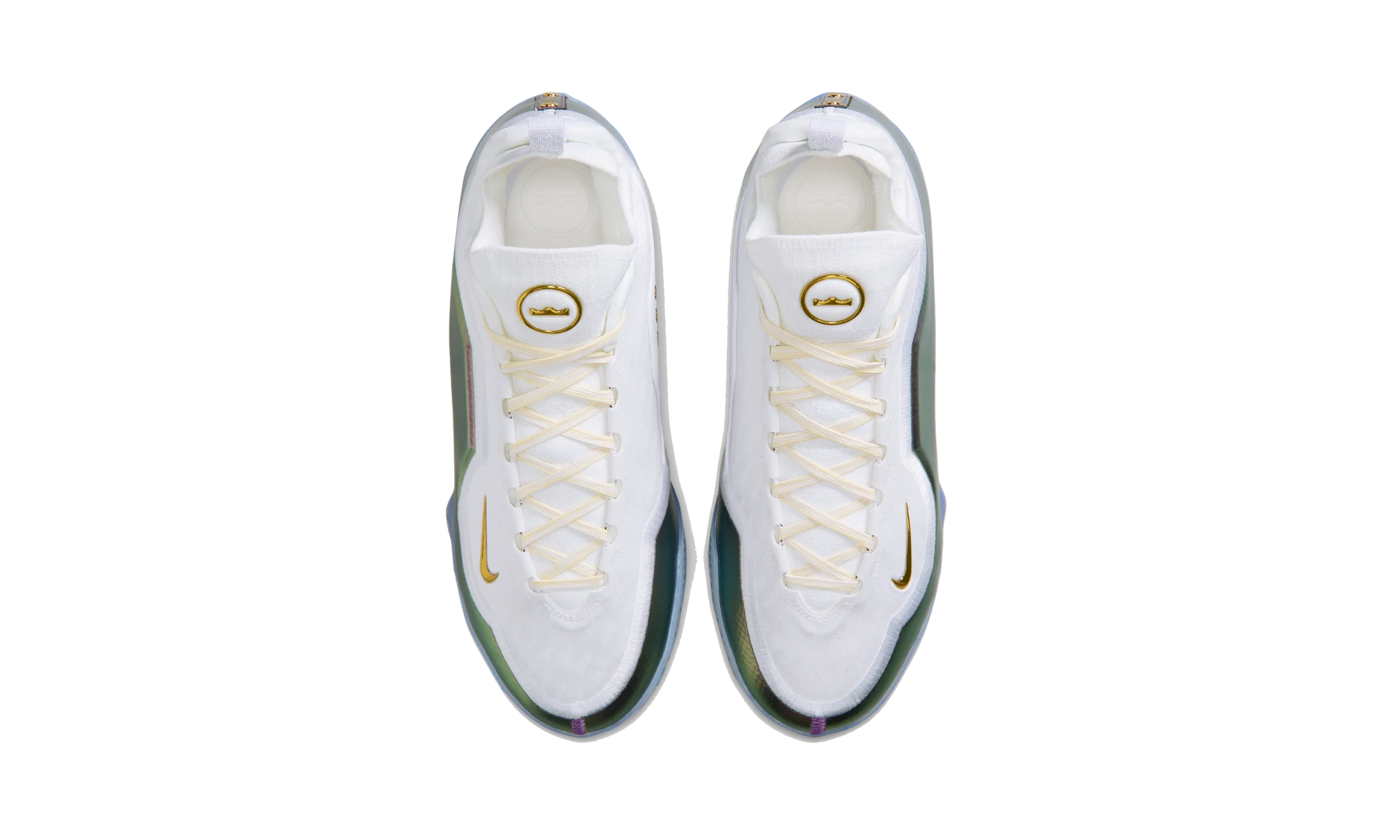 Nike LeBron 23 Elite For The Record