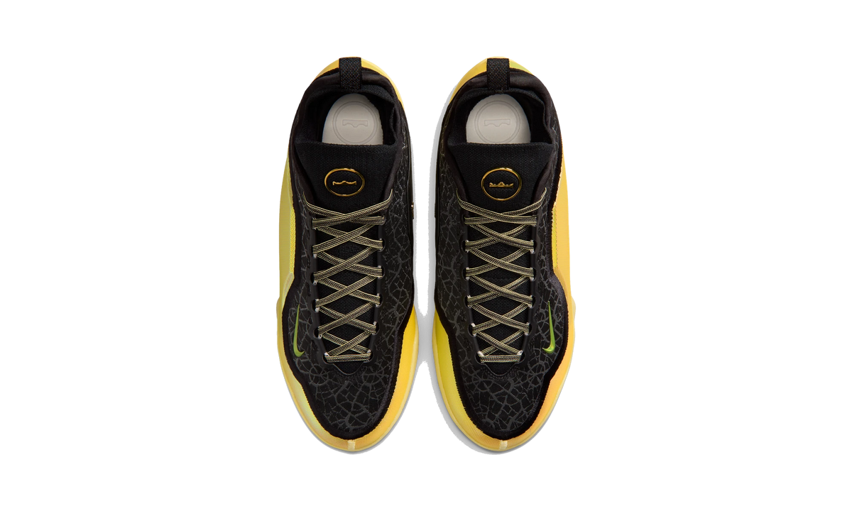 Nike LeBron 23 Elite Hurt Feelings Write History