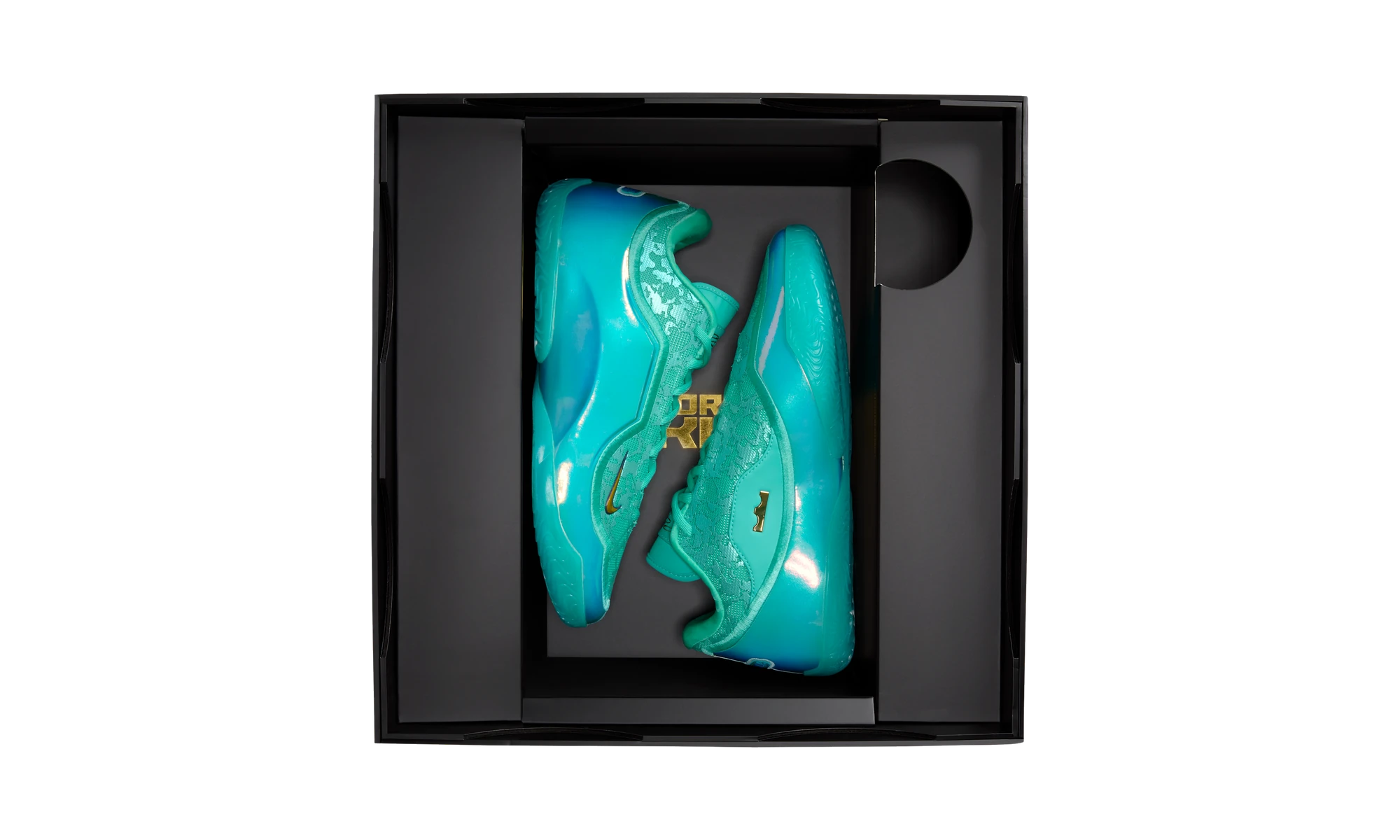 Nike LeBron 23 Honor the King (Translucent Outsole)