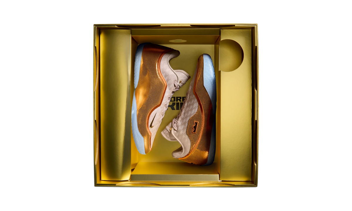 Nike LeBron 23 LeBronto