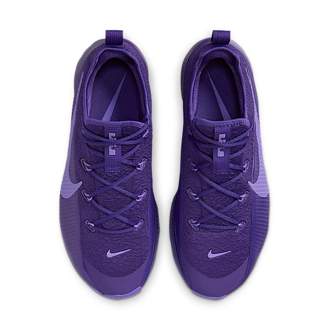 Nike LeBron TR 1 Purple Rain, Court Purple/Action Grape (FJ6151-500)