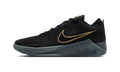 Nike LeBron Witness 9 Black Dark Smoke Grey (Translucent Outsole)