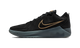 Nike LeBron Witness 9 Black Dark Smoke Grey (Translucent Outsole)