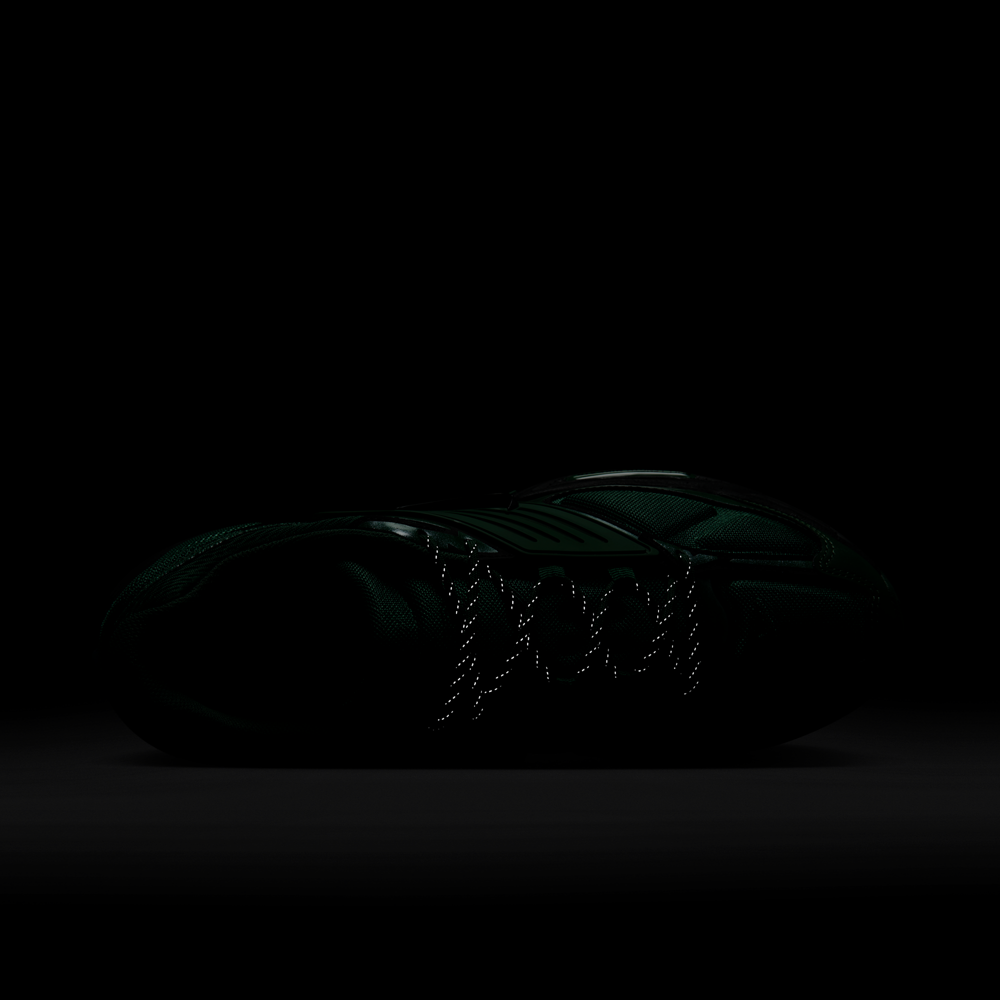 Nike Pegasus Wave Fir