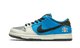 Nike SB Dunk Low Instant Skateboards