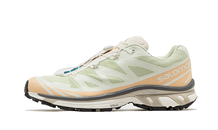 Salomon XT-6 Aloe Wash Feather Grey, Aloe Wash/Hazelnut/Feather Grey (L47293700)