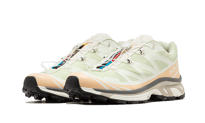 Salomon XT-6 Aloe Wash Feather Grey, Aloe Wash/Hazelnut/Feather Grey (L47293700)