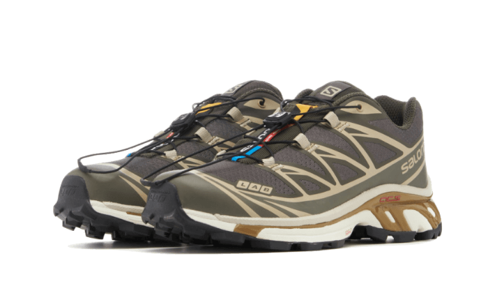 Salomon XT-6 Beluga Dull Gold, Beluga/Pewter/Dull Gold (L47136200)