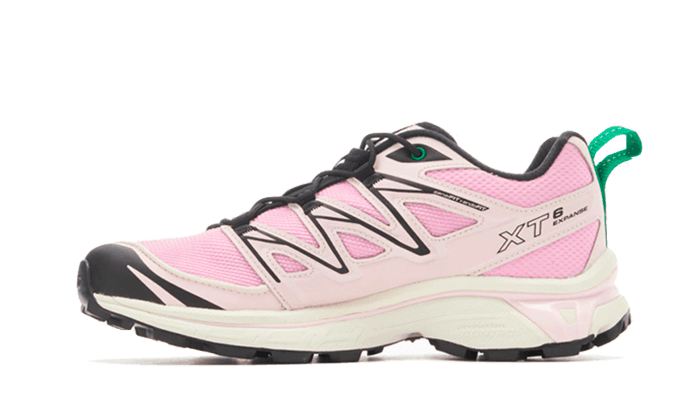 Salomon XT-6 Expanse Sandy Liang, Cradle Pink/Jelly Green/Black (L47242200)