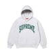 Supreme Cracked Raglan Zip Up Hooded Sweatshirt Ash Grey