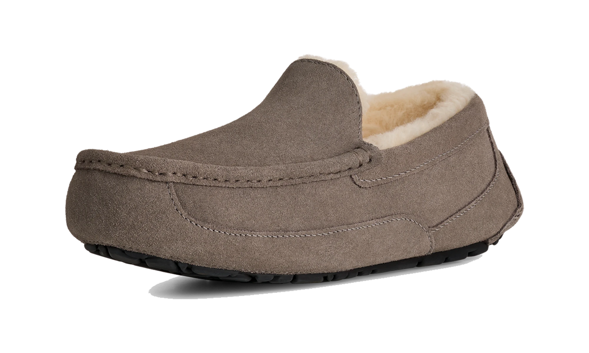 UGG Ascot Slipper Grey