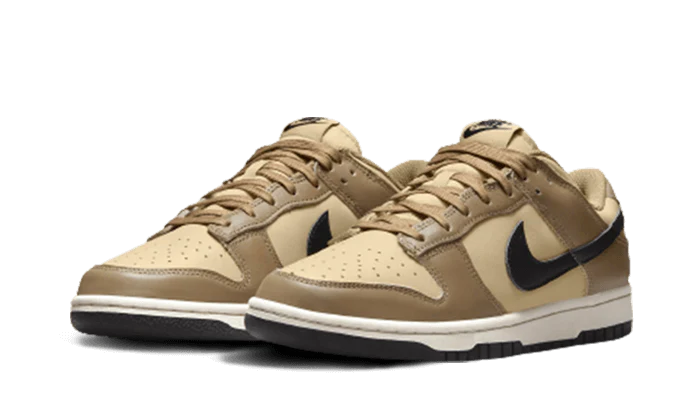 Nike Dunk Low Dark Driftwood, Dark Driftwood/Black-Sesame-Sail (DD1503-200)