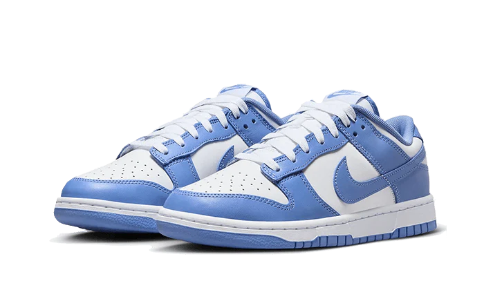 Nike Dunk Low Polar Blue, Polar/Polar/White/White (DV0833-400)